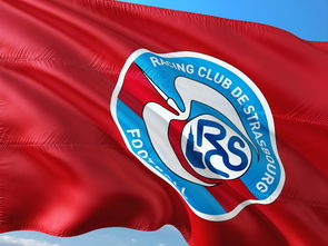 od体育投注-帕尔梅拉斯传控战术优化，球队整体配合更顺畅