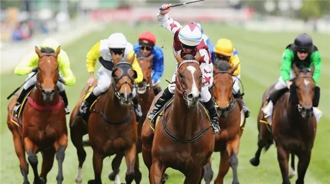 澳大利亚悉尼金矿队获得关键胜利 澳大利亚悉尼金矿队获得关键胜利